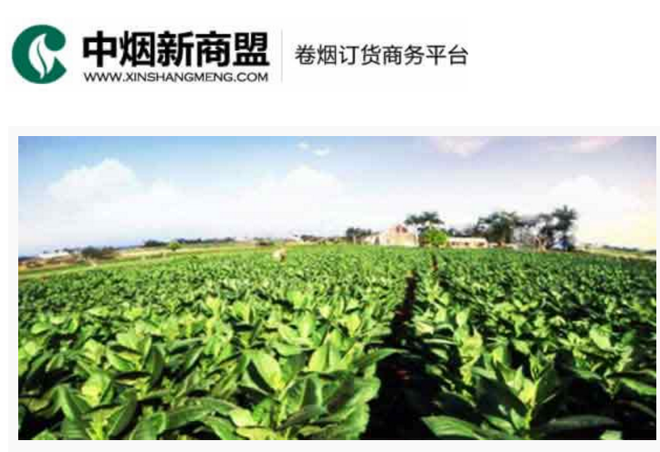 中烟新商盟卷烟订货商务平台-耀彩网彩票